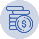 money icon